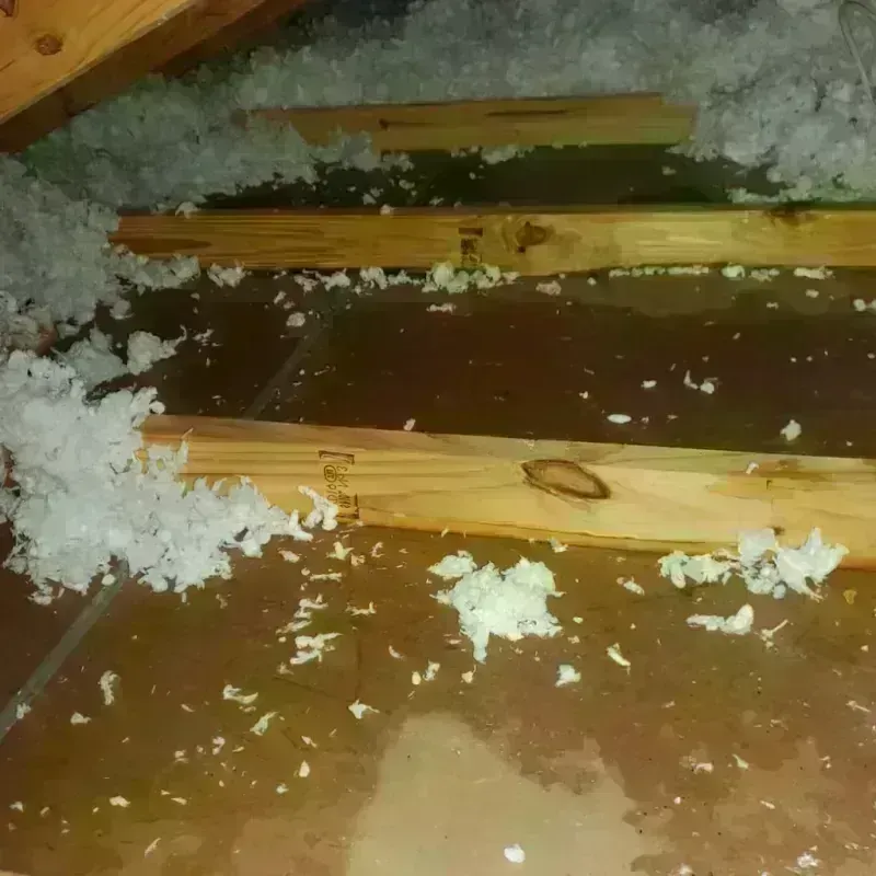 Attic Water Damage in Cross Lake, MN