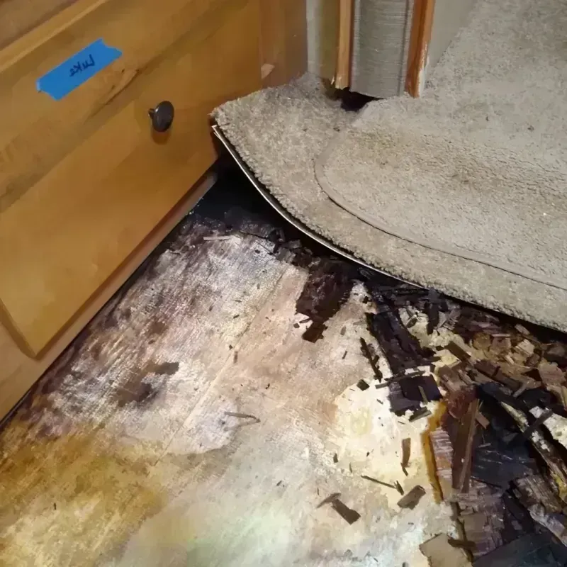 Wood Floor Water Damage in Cross Lake, MN